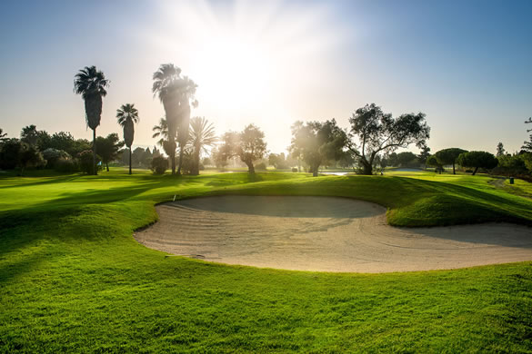 blackFriday-2018-golf